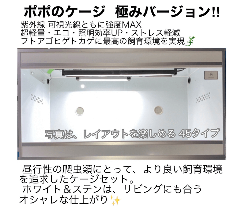 超歓迎された】 爬虫類ケージ 903535 全コーキング ストッパー 破線穴